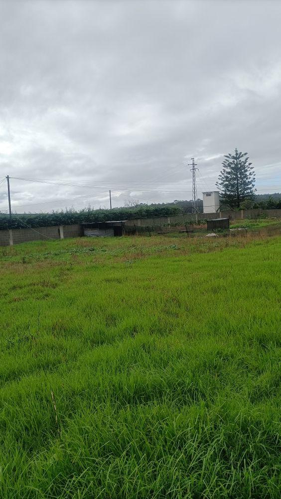 Lote de terreno
