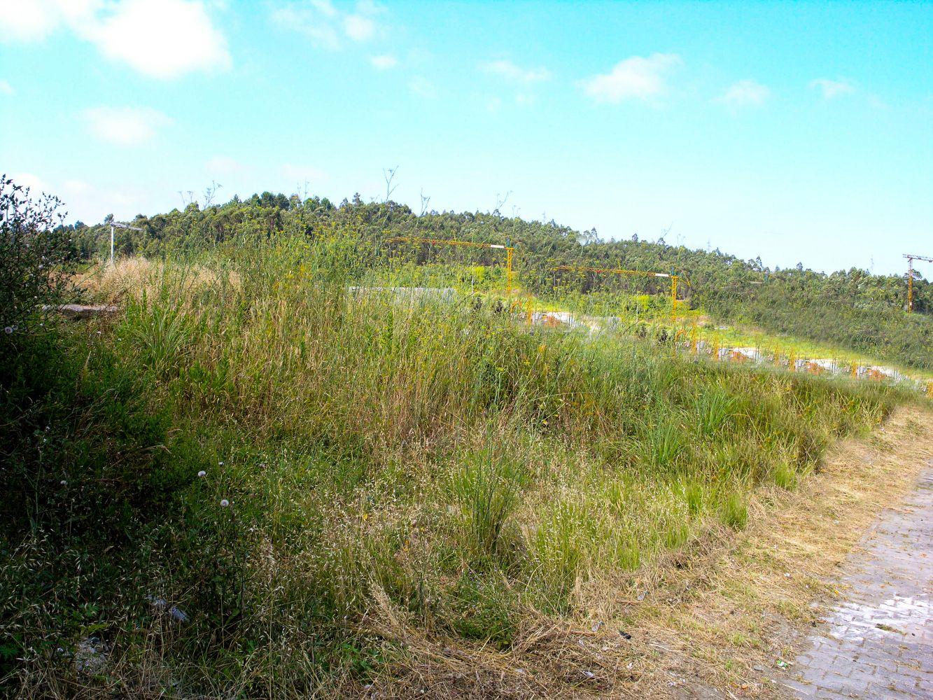 Lote de terreno