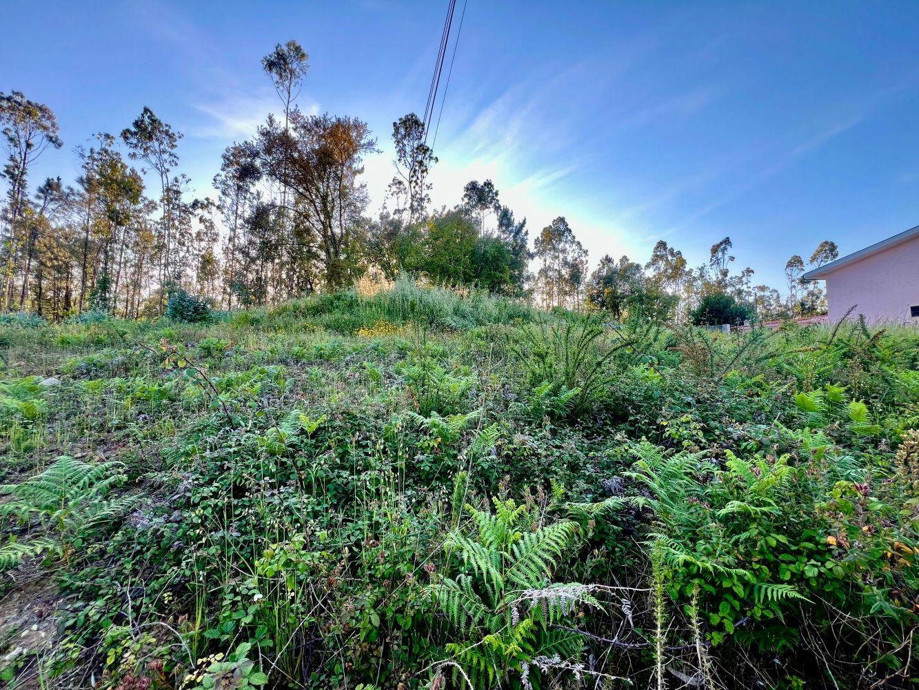 Terreno urbano